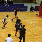 IMG_5295.jpg