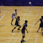 IMG_5591.jpg