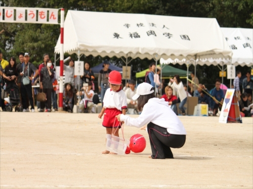 IMG_6423_R.JPG