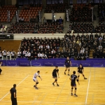 IMG_8950.jpg